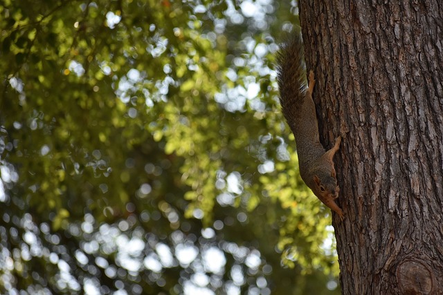 使他在比赛 使他在比赛