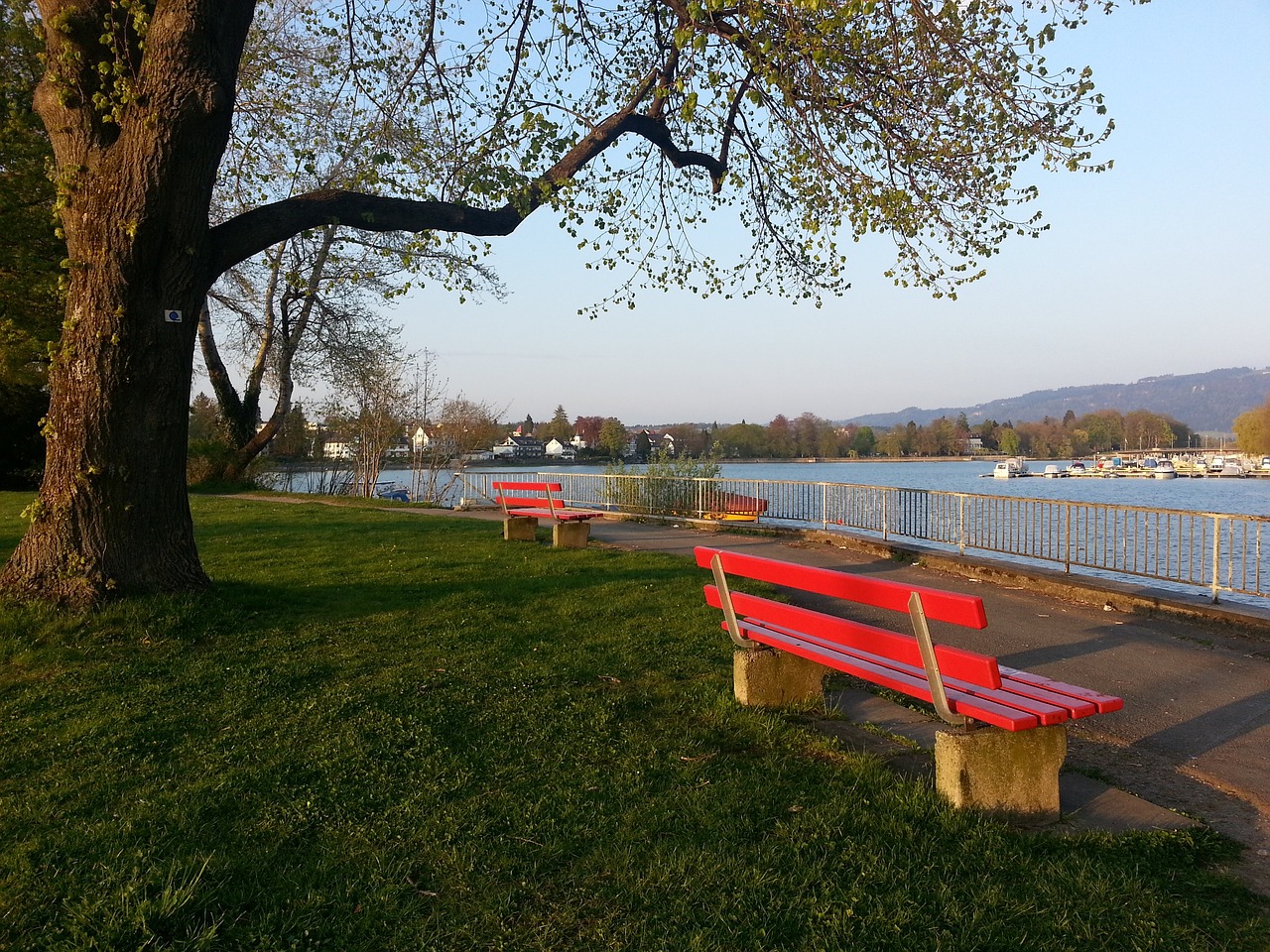 一种特殊纪 一种特殊纪