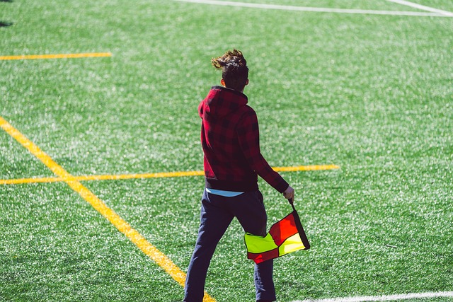 大家期待着 大家期待着