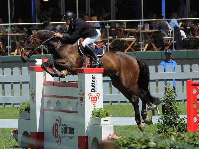 通关效率 通关效率