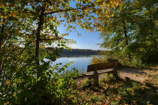 往往比单纯 往往比单纯